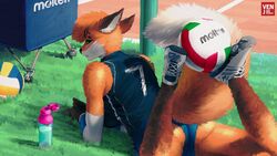  5_fingers anthro ass athletic_wear ball bent_legs biped bottle bottomwear breasts calves_up canid canine clothed clothing container detailed_background digital_media_(artwork) elbow_brace female fingers footwear fox frown fur grass gym_bottomwear gym_shorts hair hi_res looking_at_viewer looking_back looking_back_at_viewer lying mammal on_front on_grass on_ground orange_body orange_fur outside plant plantigrade product_placement raised_calf rear_view red_fox shirt shoes shorts solo sport sports_jersey spread_legs spreading text text_on_clothing text_on_shirt text_on_topwear topwear true_fox venjiiart volleyball volleyball_(ball) water water_bottle white_body white_fur 