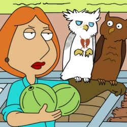 1:1 ambiguous_gender avian beak bird brown_body brown_feathers fail family_guy feathered_wings feathers female feral food fruit group gryphon hoot_(artist) hoot_(character) human humor hybrid lois_griffin low_res mammal melon mythological_avian mythological_creature mythology owl photoshop plant pun screencap tattoo third-party_edit visual_pun white_body white_feathers wings