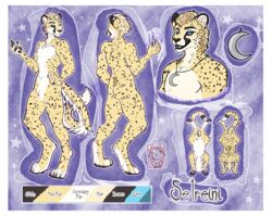  absurd_res anatomy anatomy_reference anthro border cheetah felid feline hi_res male mammal model_sheet reference_image sakary_yoliztli selreini_(character) solo white_border 