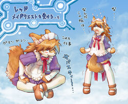 accessory alternative_fashion anthro biped blue_eyes blush brown_body brown_fur brown_hair canid canine canis clothed clothing crossdressing cyberconnect2 digital_media_(artwork) domestic_dog femboy frilly frilly_accessory frilly_hairband fur hair hair_accessory hairband j-fashion japanese_text kemono little_tail_bronx maid_uniform male mammal red_savarin shiba_inu solatorobo solo spitz standing tail tatotake_mono text translated uniform