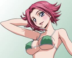  code_geass kallen_stadtfeld kouzuki tagme 