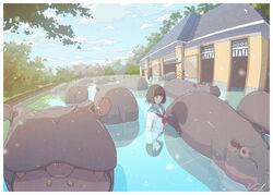  bathhouse blunt_bangs brown_hair building commentary day female highres hippopotamus looking_at_viewer medium_hair open_mouth original outdoors pool reflection school_uniform serafuku shirt vivid507 wading white_shirt 