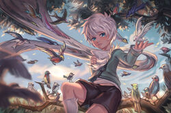  1boy absurdres bird blue_eyes branch cloud cloudy_sky commentary_request highres in_tree male_focus midriff midriff_peek morning original outdoors scenery short_hair shorts sitting sitting_in_tree sky slashing solo_focus tree whinghope white_hair white_legwear 