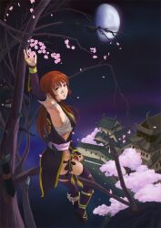  1other armpits bandages black_legwear blood brown_eyes brown_hair castle cherry_blossoms choker commentary_request dead_or_alive detached_sleeves female gibbous_moon highres in_tree injury japanese_clothes kagura_dfc kasumi_(doa) kunai long_hair moon night night_sky ninja ninjatou pelvic_curtain photoshop_(medium) scabbard sheath short_sword shuriken sitting sitting_in_tree sky sword tantou thighhighs tree weapon when_you_see_it 