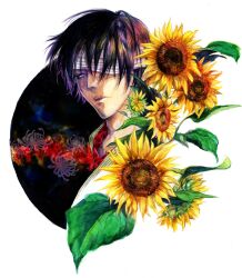  1boy bandage_over_one_eye chrysanthemum commentary_request flower gintama green_eyes japanese_clothes leaf male_focus nijita painting_(medium) purple_hair red_flower solo spider_lily sunflower takasugi_shinsuke traditional_media watercolor_(medium) yellow_flower 