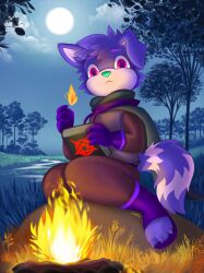  ailurid anthro book bottomwear campfire camping canid canine canis cape chibiffa clothed clothing cloud digital_drawing_(artwork) digital_media_(artwork) domestic_dog elemental_manipulation fire fire_manipulation floppy_ears footwear forest fur gloves grass grass_field green_nose hair handwear hi_res hybrid light magic magic_user male mammal moon moonlight night pants plant purple_body purple_fur red_eyes red_panda river rock sky solo tail tree 