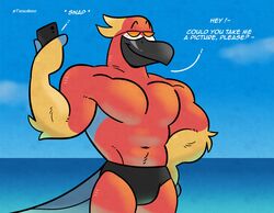  absurd_res anthro anthrofied ara_(genus) avian bird clothing delroy_(migration) english_text eyewear feathers hi_res illumination_entertainment macaw male migration_(movie) neotropical_parrot outside parrot red_body red_feathers scarlet_macaw solo speedo sunglasses swimwear tadaoardo text true_parrot 