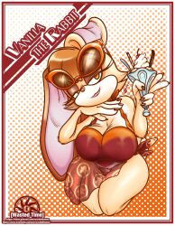  big_breasts border bottomwear breasts clothing dessert eyewear eyewear_on_head female food halftone halftone_background hand_under_chin hi_res ice_cream lagomorph leporid long_ears mammal pattern_background peace_symbol pinup pose rabbit sega simple_background skirt sonic_the_hedgehog_(series) sunglasses sunglasses_on_head swimwear text translucent translucent_bottomwear translucent_clothing translucent_skirt url vanilla_the_rabbit wastedtimeee white_border 