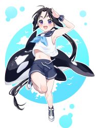  1boy :d absurdly_long_hair absurdres ahoge black_hair blue_sailor_collar blue_shorts blush border bow bubble cloud cross-laced_footwear drawstring happy highres holding holding_toy houjou_tokiyuki_(nige_jouzu_no_wakagimi) inflatable_orca inflatable_toy leg_up long_hair looking_at_viewer low-tied_long_hair male_focus midriff nige_jouzu_no_wakagimi no_socks okurarebito open_mouth otoko_no_ko ponytail purple_eyes round_border sailor_collar sailor_shirt salute shirt shorts simple_background simple_bird sleeveless smile standing standing_on_one_leg striped_clothes striped_shorts teeth thighs toy upper_teeth_only very_long_hair wrist_cuffs 