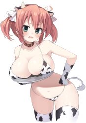  absurdres alternate_costume animal_ears animal_print bare_shoulders belt_collar bikini blush breasts breasts_on_tray cleavage collar collarbone commentary_request cow_ears cow_horns cow_print cow_print_bikini cow_print_gloves cow_print_thighhighs cow_tail cowboy_shot daitoshokan_no_hitsujikai fake_animal_ears fake_horns fake_tail female frown gloves green_eyes hair_between_eyes halterneck hand_on_own_hip highres holding holding_tray horns kodachi_nagi leaning_forward looking_at_viewer medium_hair navel open_mouth pink_hair print_bikini print_gloves print_thighhighs sidelocks simple_background solo sweatdrop swimsuit tail takepoison thighhighs thighs tray twintails v-shaped_eyebrows white_background 