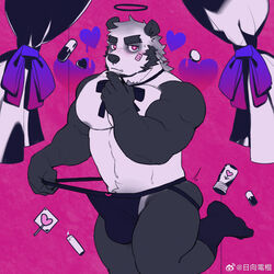  1boy animal_ears bandaid bandaid_on_cheek bandaid_on_face bara beard black_fur black_halo black_male_underwear bulge capsule curtains darling_dance_(vocaloid) facial_hair feet_up full_beard furry furry_male halo heart heart-shaped_pupils heart_background highres huge_eyebrows jockstrap large_pectorals looking_at_viewer male_focus male_underwear mature_male muscular muscular_male navel navel_hair nipples original panda_boy panda_ears panda_tail pectorals pink_background red_eyes roganlin_denkon solo stomach strongman_waist symbol-shaped_pupils thighs topless_male tusks two-tone_fur underwear 