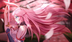  absurdres bare_shoulders blue_eyes blurry blurry_background breasts detached_sleeves female highres holding holding_sword holding_weapon honkai_(series) honkai_impact_3rd katana large_breasts long_hair nontraditional_miko outdoors petals pink_hair ribbon-trimmed_sleeves ribbon_trim sideboob solo sword upper_body weapon white_sleeves yae_sakura yae_sakura_(gyakushinn_miko) zheli_xingge 