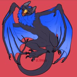  0ct0m0n0 1:1 absurd_res anthro athalean black_claws blue_eyes blue_wings cheek_tuft claws dragon european_mythology facial_tuft featureless_crotch front_view fur grey_body grey_ears grey_fur hi_res male membrane_(anatomy) membranous_wings mythological_creature mythological_scalie mythology neck_tuft nude one_eye_closed open_mouth pink_tongue pupils red_background scalie simple_background slit_pupils solo tongue tuft western_dragon wings wyvern 