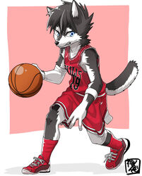  anthro athletic_wear ball basketball basketball_(ball) black_body black_fur blue_eyes bottomwear canid canine canis chicago_bulls clenched_teeth clothing clothing_cord competition_number english_text footwear fur gym_bottomwear gym_shorts hi_res jersey kaminosaki lacing lolicon male mammal nba nike number number_on_clothing number_on_jersey number_on_topwear number_print print_clothing print_jersey print_topwear shirt shoelaces shorts solo sport string_bow teeth text text_on_clothing text_on_jersey text_on_shirt text_on_topwear text_print tied_string topwear white_body white_fur wolf young young_anthro young_male 