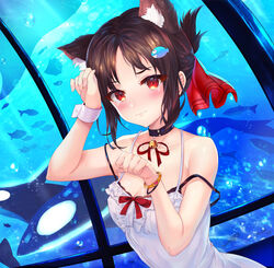  alternate_costume animal_ear_fluff animal_ears artist_name bare_arms bare_shoulders black_bra black_choker black_hair blush bra breasts cat_ears choker collarbone commentary deviantart_username dress female fish fish_hair_ornament hair_ornament hair_ribbon highres hitokiri_battousai instagram_username kaguya-sama_wa_kokurasetai_~tensai-tachi_no_renai_zunousen~ looking_at_viewer md5_mismatch medium_breasts orca parted_bangs photoshop_(medium) pixiv_username red_eyes red_ribbon ribbon shinomiya_kaguya short_hair solo tearing_up underwear wavy_mouth white_dress wrist_cuffs 