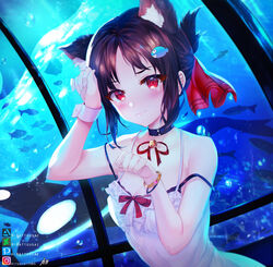  alternate_costume animal_ear_fluff animal_ears artist_name bare_arms bare_shoulders black_bra black_choker black_hair blush bra breasts cat_ears choker collarbone commentary deviantart_username dress female fish fish_hair_ornament hair_ornament hair_ribbon highres hitokiri_battousai instagram_username kaguya-sama_wa_kokurasetai_~tensai-tachi_no_renai_zunousen~ looking_at_viewer md5_mismatch medium_breasts orca parted_bangs pixiv_username red_eyes red_ribbon ribbon shinomiya_kaguya short_hair solo tearing_up underwear wavy_mouth white_dress wrist_cuffs 