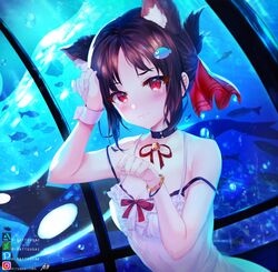  alternate_costume animal_ear_fluff animal_ears artist_name bare_arms bare_shoulders black_bra black_choker black_hair blush bra breasts cat_ears choker collarbone commentary deviantart_username dress female fish fish_hair_ornament hair_ornament hair_ribbon highres hitokiri_battousai instagram_username kaguya-sama_wa_kokurasetai_~tensai-tachi_no_renai_zunousen~ looking_at_viewer medium_breasts orca parted_bangs pixiv_username red_eyes red_ribbon ribbon shinomiya_kaguya short_hair solo tearing_up underwear wavy_mouth white_dress wrist_cuffs 