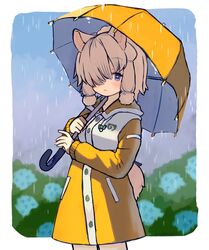  alpaca_ears alpaca_girl alpaca_suri_(kemono_friends) alpaca_tail alternate_costume animal_ears blue_eyes blush commentary cowboy_shot female flower hair_over_one_eye hair_tubes highres hood hood_down hydrangea japari_symbol kemono_friends kemono_friends_3 long_sleeves noamem rain raincoat short_hair solo tail umbrella white_hair yellow_raincoat yellow_umbrella 