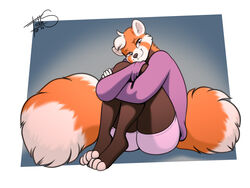  2021 ailurid alternate_form alternate_species anthro athletic_wear bottomwear cheek_tuft clothing facial_tuft fluffy fluffy_tail freckles_(artist) fur grey_body grey_fur gym_bottomwear gym_shorts hair half-closed_eyes hoodie male mammal markings narrowed_eyes orange_body orange_fur pecas_(freckles) red_panda ring_(marking) ringed_tail shorts simple_background sitting sitting_on_ground smile solo striped_markings striped_tail stripes tail tail_markings topwear tuft white_body white_fur white_hair 