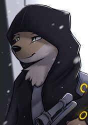  absurd_res adrian_(snowstormbat) anthro clothing cosplay hi_res hoodie male mammal mustelid otter ranged_weapon snow snowstormbat solo the_division tom_clancy&#039;s_(series) topwear ubisoft weapon 