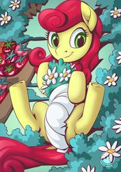  dock_(anatomy) earth_pony equid equine female feral flower food fruit green_eyes hair hasbro hi_res hooves horse mammal my_little_pony mysticalpha plant pony red_hair red_tail smile solo strawberry strawberry_sunrise_(mlp) tail white_flower 