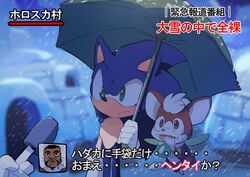  3boys animal_nose aoki_(fumomo) chip_(sonic) eating floating furry furry_male green_eyes holding holding_umbrella igloo insect_wings interview meme microphone multiple_boys outdoors polka_dot polka_dot_umbrella shared_umbrella snow_shelter snowing sonic_(series) sonic_the_hedgehog sonic_unleashed special_feeling_(meme) standing translated umbrella wings 