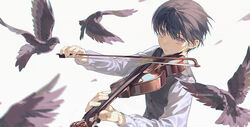  1boy bird black_bird black_hair black_vest blurry blurry_foreground buttons chinese_commentary closed_mouth commentary eyebrows_hidden_by_hair hair_between_eyes instrument long_sleeves looking_at_viewer male_focus music original playing_instrument purple_eyes shirt short_hair simple_background solo twitter_username upper_body vest violin white_background white_shirt xiaojiaju 