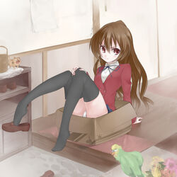  aisaka_taiga animal bad_id bad_pixiv_id bird black_thighhighs box brown_eyes brown_hair feet female in_box in_container inko kyabetsu loafers long_hair panties pantyshot parrot plantar_flexion school_uniform shoe_dangle shoes single_shoe thighhighs toradora! underwear 