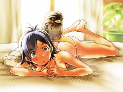  :o bad_id bad_pixiv_id barefoot bed bikini bird black_eyes black_hair butt_crack female frogmouth fujisawa_takashi knees_apart_feet_together lying on_stomach original plant short_hair side-tie_bikini_bottom solo swimsuit 