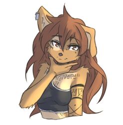  anthro apogee_(tinygaypirate) arm_markings arm_tattoo arm_tuft bare_shoulders black_nose breasts brown_body brown_eyes brown_fur brown_hair canid canine canis cheek_tuft chest_markings chest_tattoo clothing cowlick crop_top digital_media_(artwork) domestic_dog ear_piercing elbow_tuft eyebrow_through_hair eyebrows eyelashes facial_markings facial_piercing facial_tattoo facial_tuft female floppy_ears fur furgonomics furry-specific_piercing grey_background hair half-length_portrait head_markings hi_res inner_ear_fluff long_hair looking_at_viewer mammal markings messy_hair mottled mottled_nose muzzle_piercing nose_piercing piercing pink_nose portrait raised_arm shirt simple_background single_strap single_strap_clothing single_strap_shirt single_strap_topwear smile smug solo spitz tattoo tinygaypirate topwear translucent translucent_hair tuft 