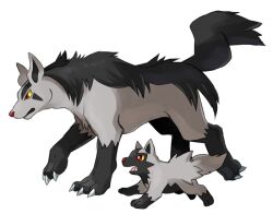  claws good_frog mightyena nintendo no_humans pokemon poochyena simple_background wolf 