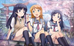  3girls :d aragaki_ayase black_hair blue_eyes blush cherry_blossoms commentary_request edogawakid gokou_ruri grass hand_on_own_face highres kneehighs kousaka_kirino kousaka_kirino&#039;s_school_uniform legs loafers long_hair long_legs mole mole_under_eye mountain multiple_girls oerba_yun_fang open_mouth orange_hair ore_no_imouto_ga_konna_ni_kawaii_wake_ga_nai panties pantyshot petals photoshop_(medium) pink_panties school_uniform serafuku shoes sitting skirt smile socks striped_clothes striped_panties sweater_vest torii tree underwear white_panties 