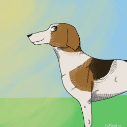  1:1 ambiguous_gender beagle canid canine canis cat_spiral domestic_dog feral hatching_(art) hi_res hunting_dog mammal scent_hound shaded simple_background solo 