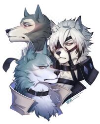  anthro bangs beastars black_nose blue_eyes blush brand_new_animal canid canine canis collar ear_fur eyebrows frown fur grey_body grey_eyes grey_fur group headshot_portrait hi_res inner_ear_fluff legoshi_(beastars) looking_at_viewer male mammal mihoyo multicolored_body multicolored_fur muzzle_(object) necktie one_eye_obstructed portrait red_eyes scowl serious_face shirou_ogami side_profile simple_background studio_trigger three-quarter_view trio tuft valeskart von_lycaon white_background white_body white_fur wolf worried zenless_zone_zero 