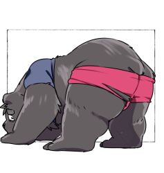  2024 ass bear black_body black_fur black_nose bottomwear clothing fur inunoshippo kemono male mammal shirt shorts simple_background solo topwear 