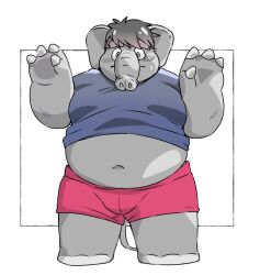  2024 anthro belly big_belly bottomwear clothing elephant elephantid inunoshippo kemono male mammal navel overweight overweight_male proboscidean shirt shorts simple_background solo topwear 