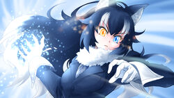  animal_ears attack black_hair blue_eyes breast_pocket breasts commentary_request female fur_collar gloves grey_wolf_(kemono_friends) heterochromia highres incoming_attack kemono_friends long_hair looking_at_viewer medium_breasts multicolored_hair naka_(nicovideo14185763) necktie photoshop_(medium) pocket solo two-tone_hair white_gloves white_hair wolf_ears yellow_eyes 