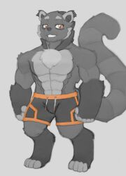  anthro binturong black_body clothing hi_res male mammal muscular muscular_male silvershield88 solo swimming_trunks swimwear tail viverrid 