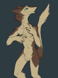  anthro biped brown_body brown_fur crotch_tuft digital_media_(artwork) fur green_eyes green_markings hi_res looking_at_viewer male markings naes nude nude_anthro nude_male sealer4258 sergal simple_background smile solo tail tail_tuft tuft tufted_fur 