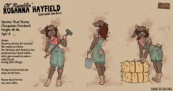  anthro brown_body brown_fur clothing dirt dust_bunny english_text female fur hay hi_res model_sheet overalls plaid posspowered rosanna_hayfield_(posspowered) solo text 