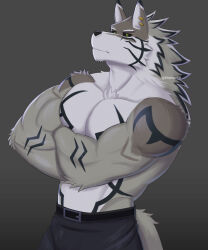  abs absurd_res anthro bottomwear brown_body brown_fur canid canine canis clothing crossed_arms dark_sclera ear_piercing ear_ring fur green_eyes hi_res jackal lifewonders male mammal mane muscular muscular_male pants pecs piercing pinpinavine ring_piercing seth_(tas) shirtless solo tokyo_afterschool_summoners white_body white_fur 