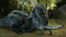  16:9 2022 3d_(artwork) 4k absurd_res beta_(jurassic_world) blue_(jurassic_world) blue_body blue_scales claws cuddling daughter_(lore) detailed_background dewclaw digital_media_(artwork) dinosaur dromaeosaurid duo extinct female female_(lore) feral grass grey_body grey_scales hi_res ivorylagiacrus jurassic_park jurassic_world looking_at_another looking_at_partner mother_(lore) mother_and_child_(lore) mother_and_daughter_(lore) multicolored_body multicolored_scales on_ground open_mouth outside parent_(lore) parent_and_child_(lore) parent_and_daughter_(lore) plant prehistoric_species reptile scales scalie sharp_teeth sitting size_difference tail teeth theropod toe_claws tree universal_studios velociraptor widescreen yellow_eyes 