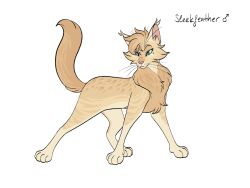  2023 ambiguous_gender barkfur_(artist) domestic_cat fan_character felid feline felis feral full-length_portrait fur hi_res male_(lore) mammal model_sheet portrait simple_background solo tan_body tan_fur warriors_(book_series) white_background 