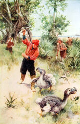  1914 20th_century 5_fingers absurd_res ambiguous_gender ancient_art avian beak biped bird clothed clothing columbid detailed_background dodo dutch_golden_age extinct feathered_wings feathers feral fingers footwear fully_clothed golden_age group headgear headwear hi_res holding_object holding_weapon human imminent_violence light_body light_skin male mammal outside plant raised_arm recently_extinct_species red_clothing red_headwear red_topwear sea ship sky standing topwear traditional_media_(artwork) tree vehicle walter_paget water watercraft weapon wings 