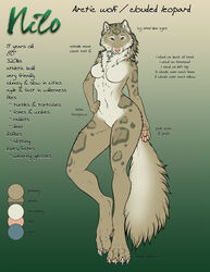  absurd_res anthro arctic_wolf big_feet blue_eyes breasts canid canine canis claws clouded_leopard digitigrade english_text feet felid female fur hi_res hybrid jocarra long_fur long_legs long_tail mammal model_sheet nilo_(cardinilo) pantherine pawpads solo tail tan_nose tan_pawpads tan_paws text toe_claws wolf 