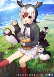  :d animal atlantic_puffin atlantic_puffin_(kemono_friends) bird black_hair black_jacket black_wings blue_sky brown_hair buttoned_cuffs buttons cloud cloudy_sky commentary_request company_name copyright_name copyright_notice day feathered_wings female food food_on_face frilled_skirt frills gambe gloves head_wings highres holding holding_food horizon jacket japari_chips kemono_friends kneehighs long_sleeves multicolored_hair name_connection ocean official_art open_clothes open_jacket open_mouth outdoors red_eyes red_hair red_socks sega shirt skirt sky smile socks solo sweater_vest translated water watermark white_gloves white_hair white_shirt white_skirt wings 