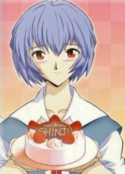  ayanami_rei birthday blue_hair blush cake looking_at_viewer neon_genesis_evangelion offering red_eyes smile strawberries 