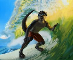  5_fingers anthro clothed clothing fingers fur male mammal mustelid open_mouth otter raised_tail refraction standing surfboard surfer surfing swish tail topless transmission vehicle watercraft wave wet 