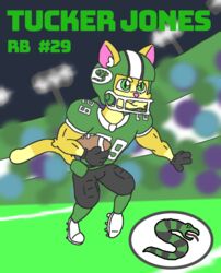  absurd_res anthro ball clothing da_xxx_cat domestic_cat felid feline felis football_field football_player fur gridiron_ball hi_res male mammal solo 