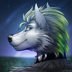  1:1 2020 anthro arm_tuft artist_name black_collar black_nose blurred_background bust_portrait canid canine canis cheek_tuft closed_smile collar dated domestic_dog facial_tuft fur glistening glistening_eyes glistening_nose green_eyes green_hair grey_body grey_fur grey_hair hair husky male mammal mouth_closed multicolored_hair night nordic_sled_dog portrait shoulder_tuft sky slash_freezen smile solo spitz star tuft two_tone_hair 